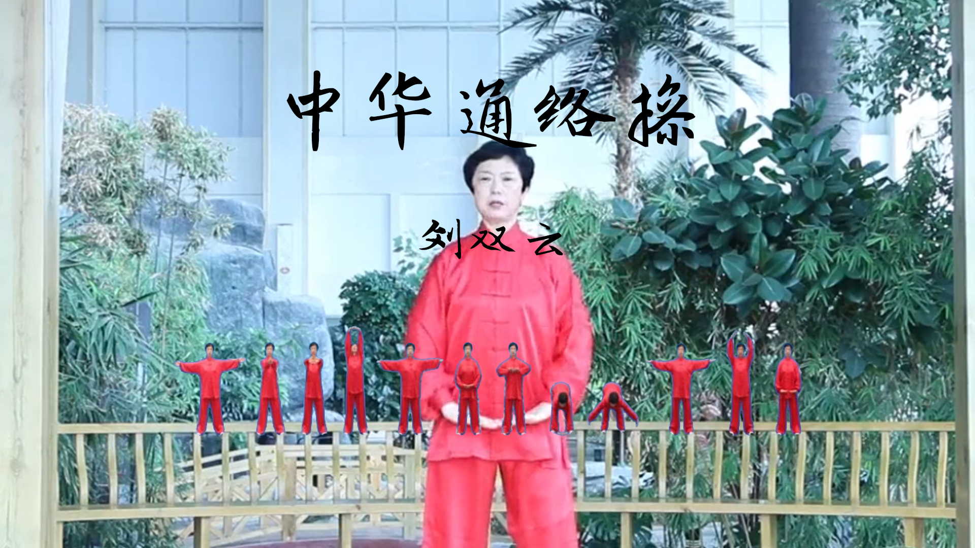 中华养生功中华通络操